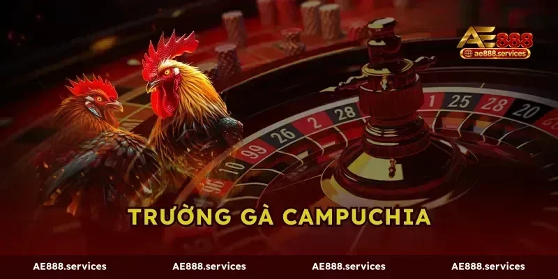 Trường Gà Campuchia AE888 - Mãn Nhãn Kèo Đấu Rực Lửa