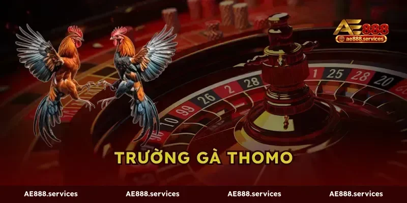 Trường Gà Thomo AE888 - Soi Vảy Xem Tướng Chốt Kèo Ngon